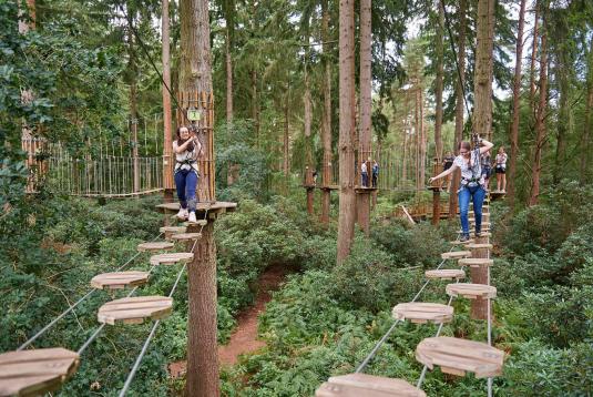 Go Ape Thetford Event Venue Hire Brandon venue Com