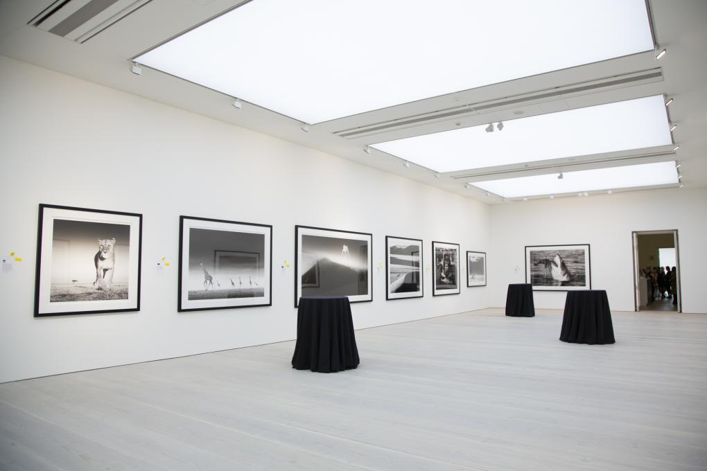 Saatchi Gallery in London for Hire - Best Prices - Tagvenue