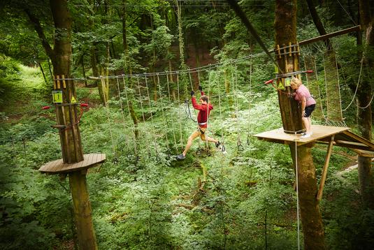 Go Ape Buxton Event Venue Hire Manchester venue Com