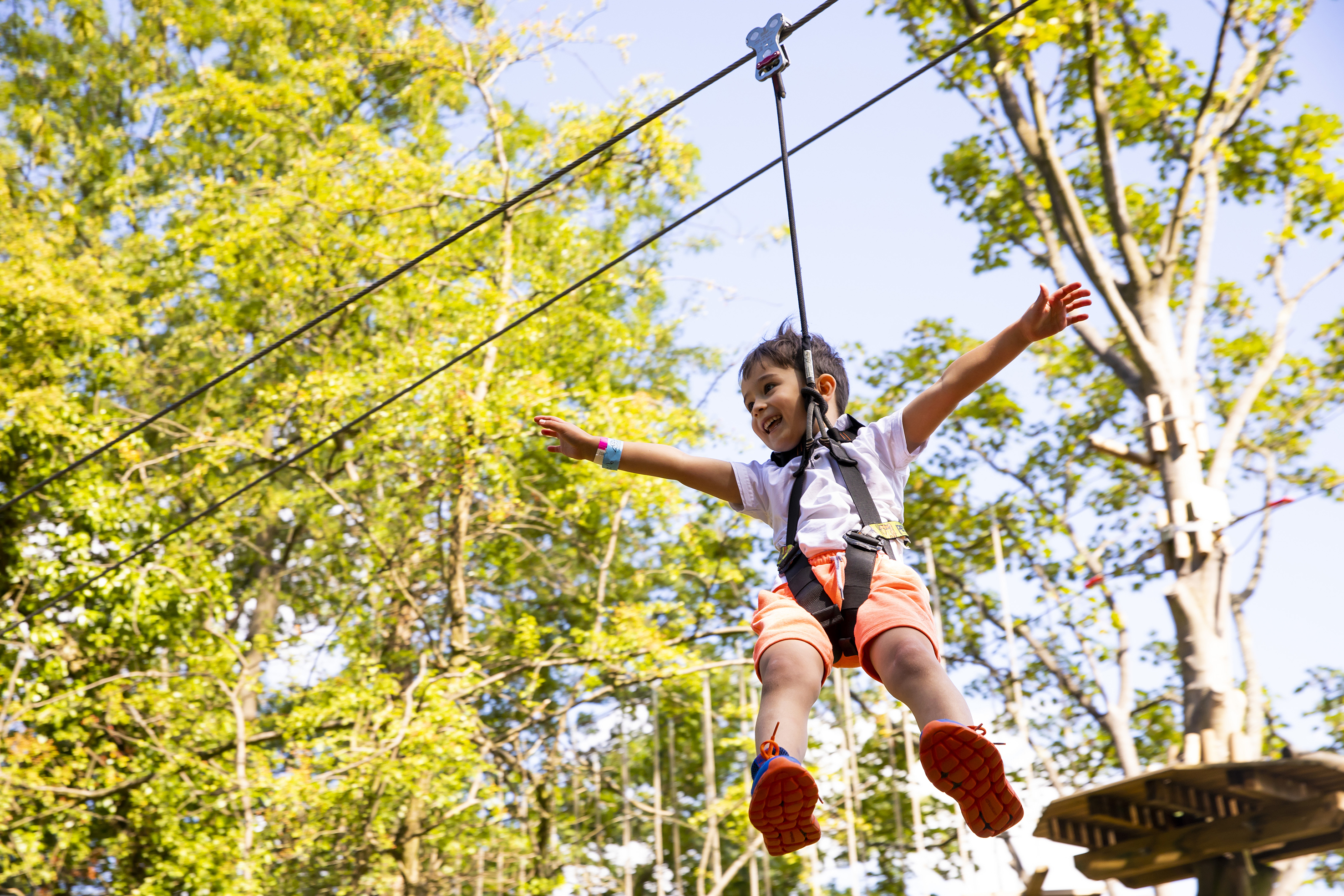 Treetop Adventure Go Ape Bedgebury Event Venue Hire venue Com