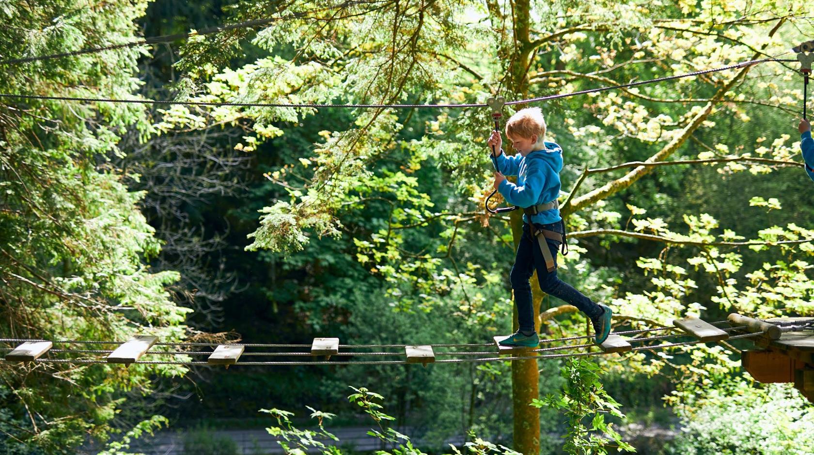 Treetop Adventure Go Ape Sherwood Pines Event Venue Hire