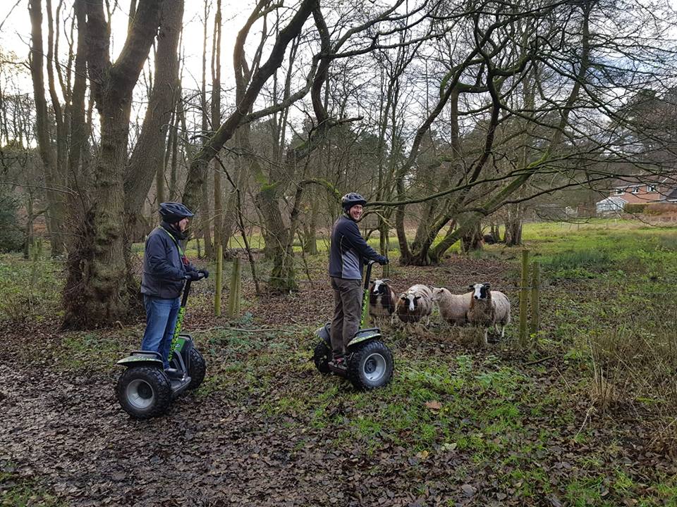 Forest Segway Go Ape Cannock Event Venue Hire venue Com