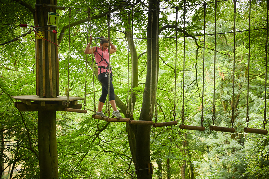 Treetop Adventure Go Ape Delamere Forest Event Venue Hire venue Com