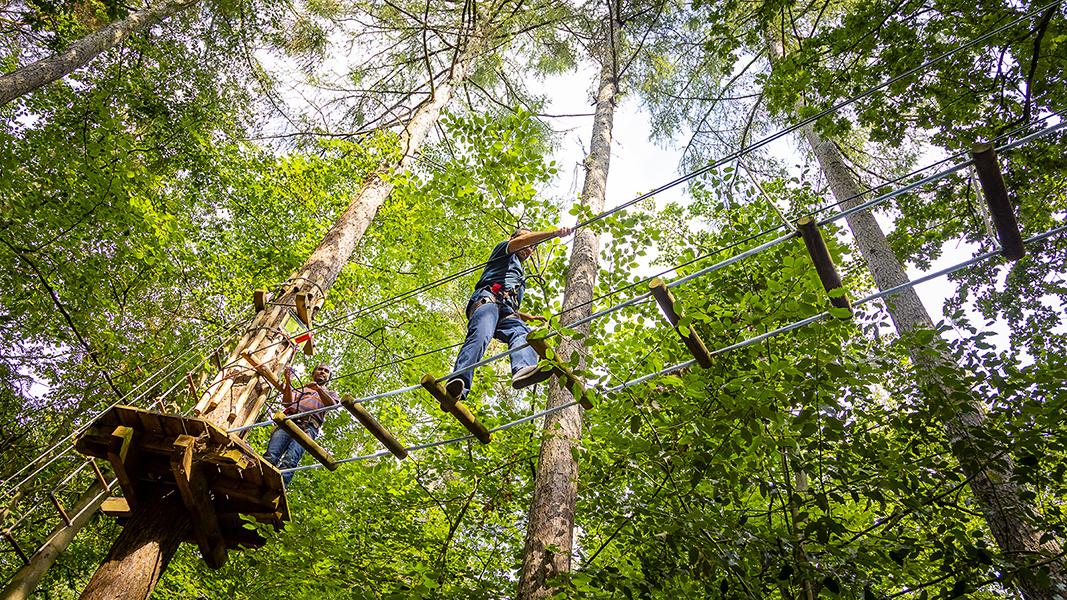 Treetop Challenge Go Ape Rivington Event Venue Hire venue Com